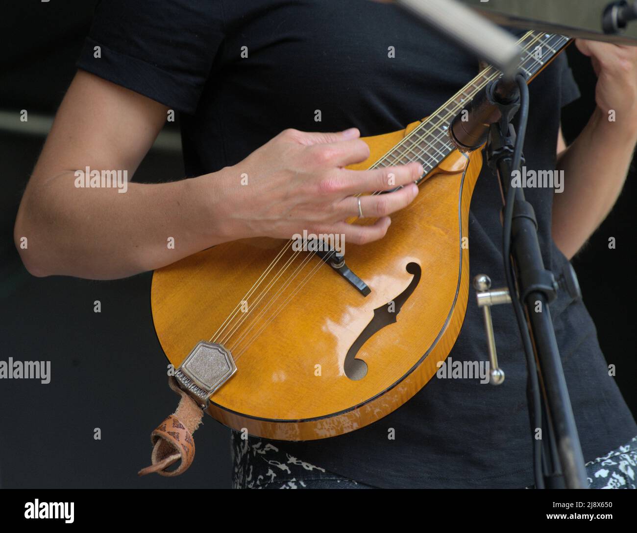 Hände eines Musikers, der eine Mandoline spielt.mit Mikrofon in der Nähe der Saiten. Stockfoto