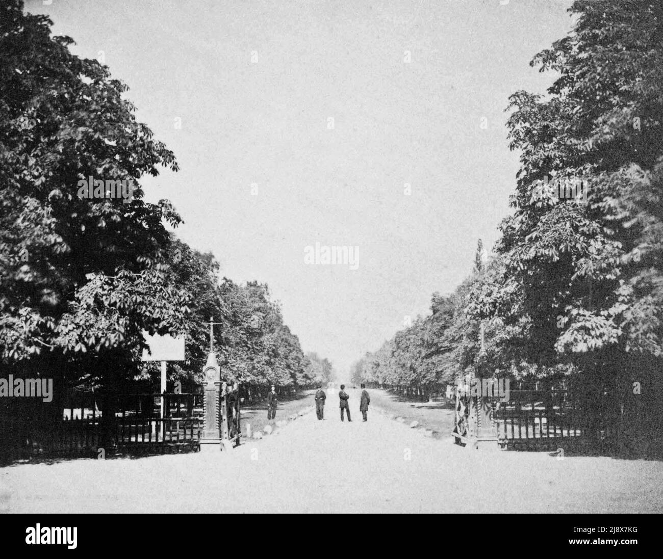 College Avenue (später University Avenue), Toronto, Kanada. John Howard entwarf dieses Eingangstor zur von Bäumen gesäumten Avenue Ca. 1868 Stockfoto