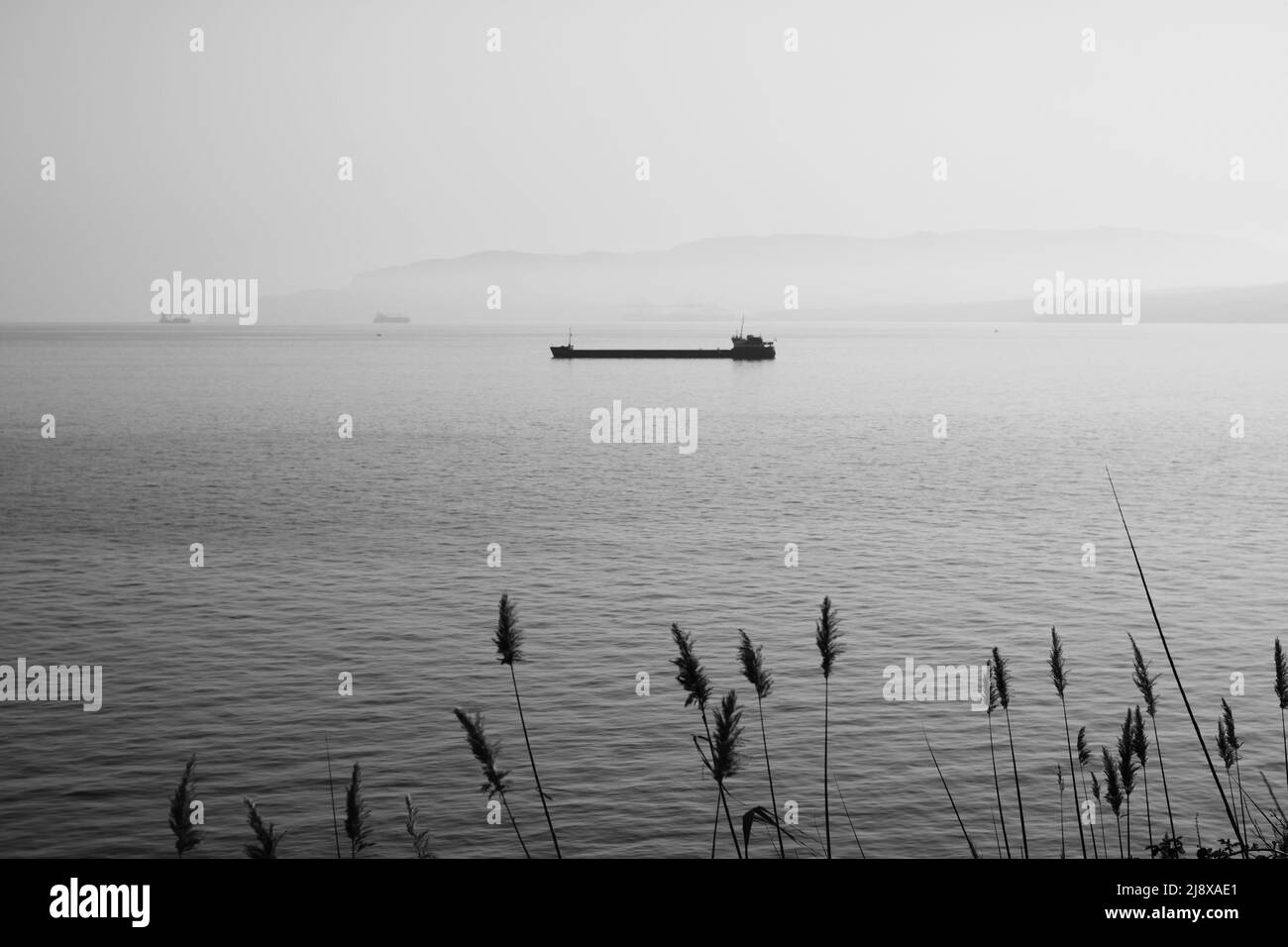 Ein Schwarz-Weiß-Foto eines Frachtschiffes im Meer Stockfoto