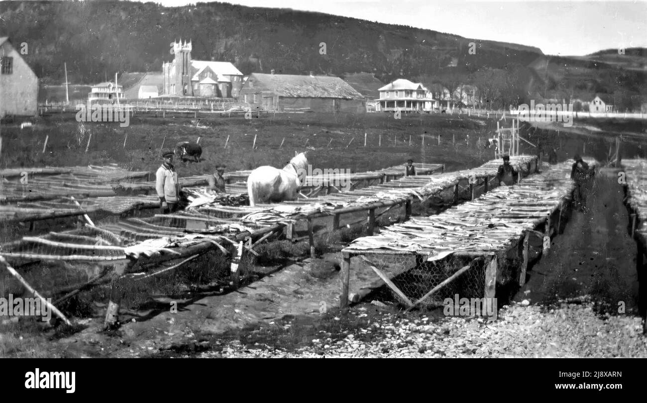 Kabeljautrocknungsregale in Percé ca. 1930 Stockfoto