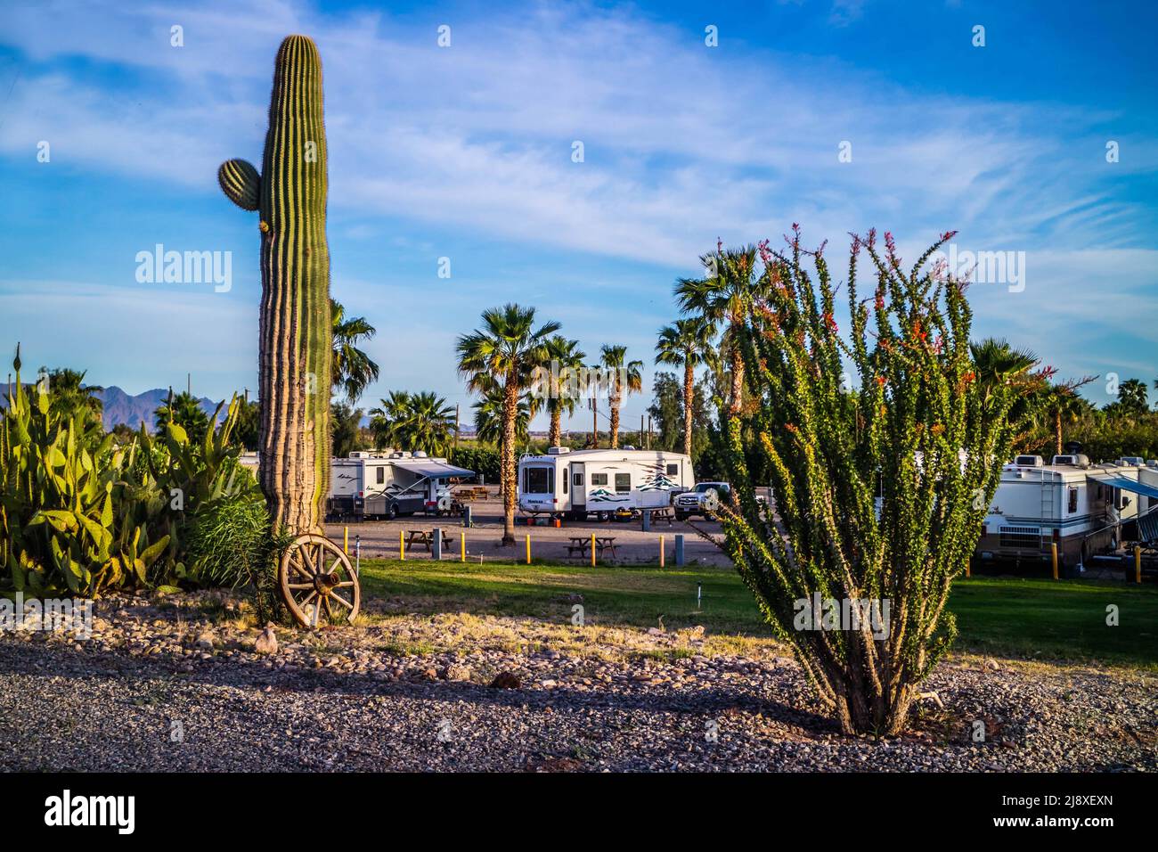 Yuma, AZ, USA - 7. Nov 2021: Genießen Sie die fesselnde Aussicht von unserem Wohnmobil Stockfoto