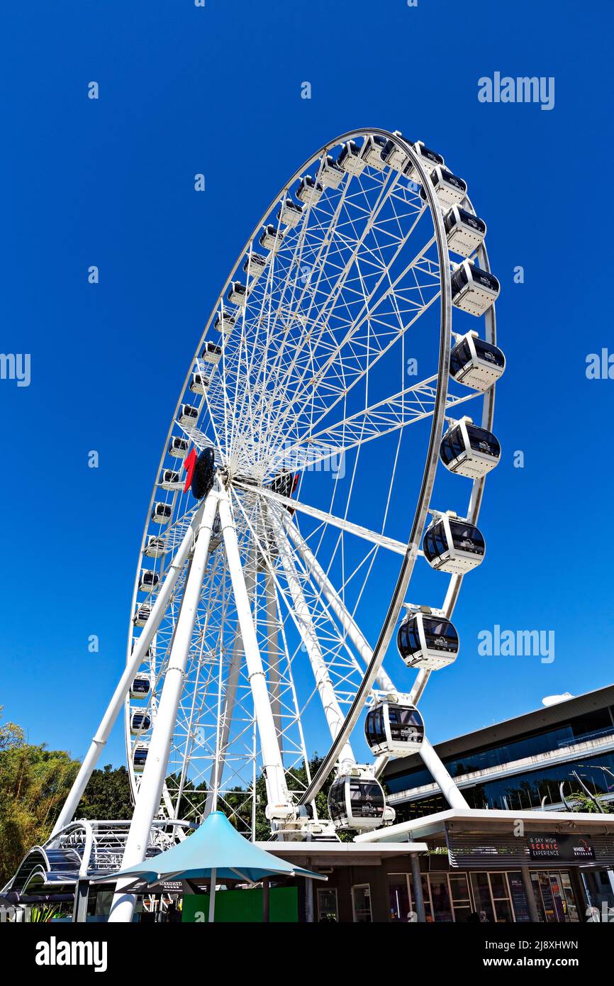 Brisbane Australien / The Wheel of Brisbane in den South Bank Parklands. Stockfoto