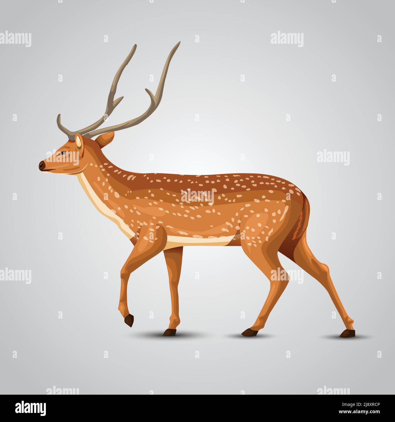 Volle Größe Hirsch Zeichnung. vektor-Illustration Design Stock