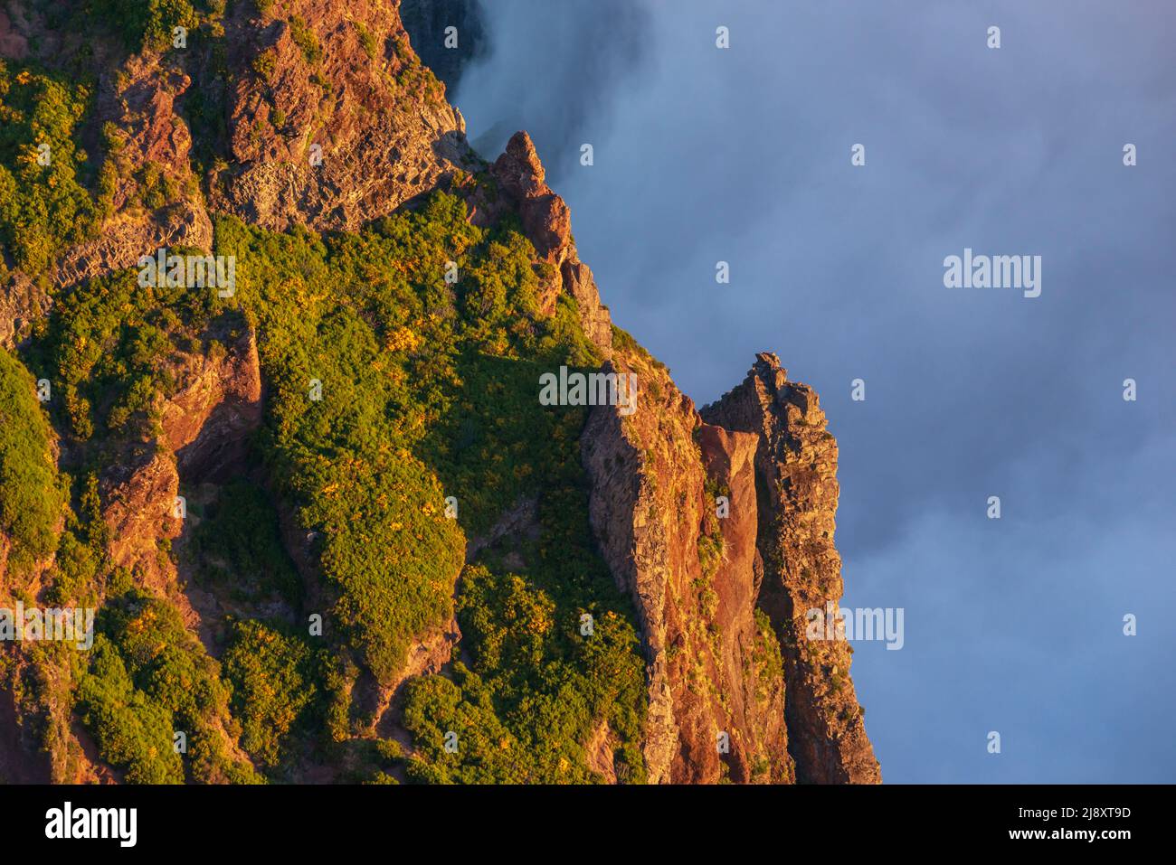 Steile Felsen auf der Insel Madeira am frühen Morgen Stockfoto