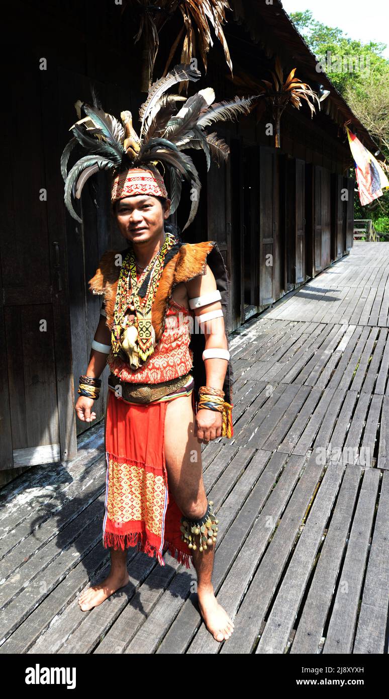 Ein junger IBAN-Mann in Kriegerkopfjäger-Insignien, darunter Hornbillifedern-Kopfschmuck, im Sarawak Cultural Village in der Nähe von Kuching, Sarawak, Malaysia. Stockfoto