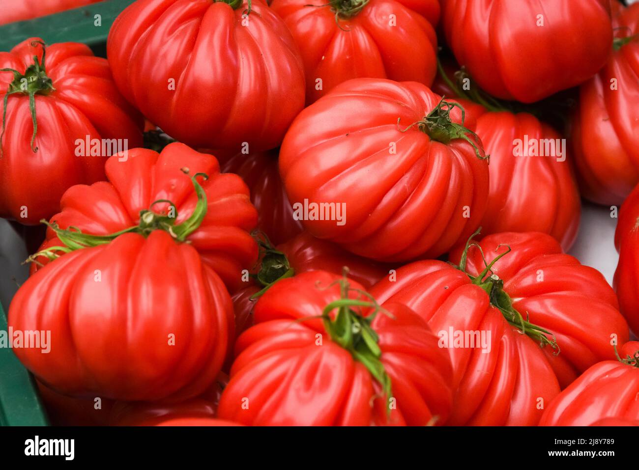 Tomaten liegen auf einem Stapel übereinander, Tomatenstruktur. Selektiver Fokus. Stockfoto