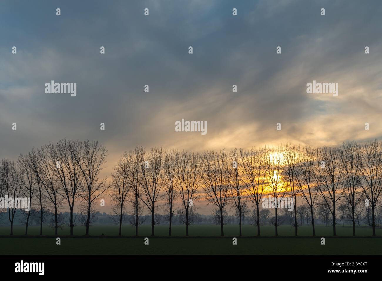 Sonnenuntergang auf der Pianura Padana (Poebene), in der Lombardei, Italien, Europa Stockfoto