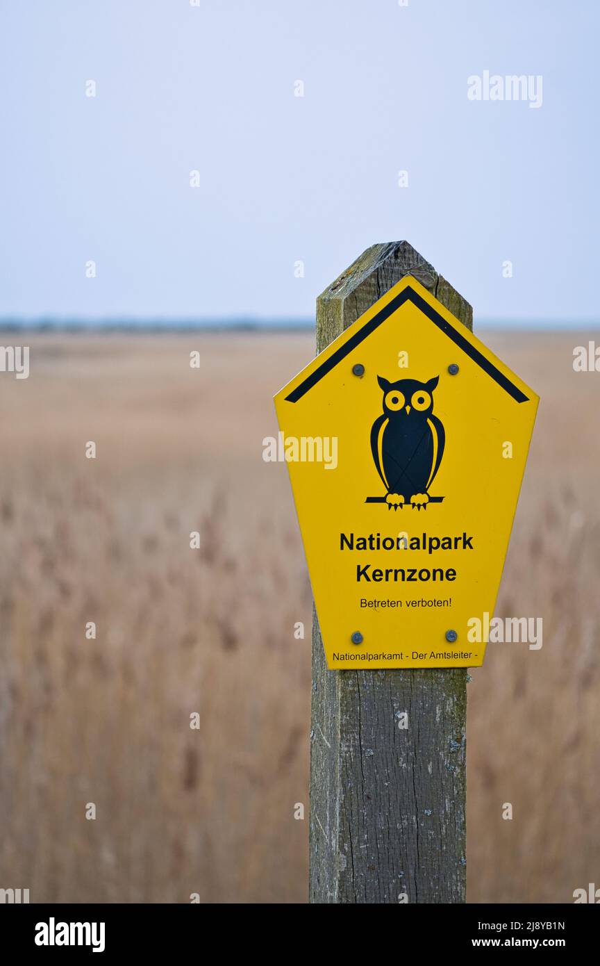 Schild Nationalpark Kernzone an der Ostsee. Symbol Eule mit gelbem Hintergrund. Warnschild, Hinweisschild. Detailgedrehte Aufnahmen aus der Natur Stockfoto
