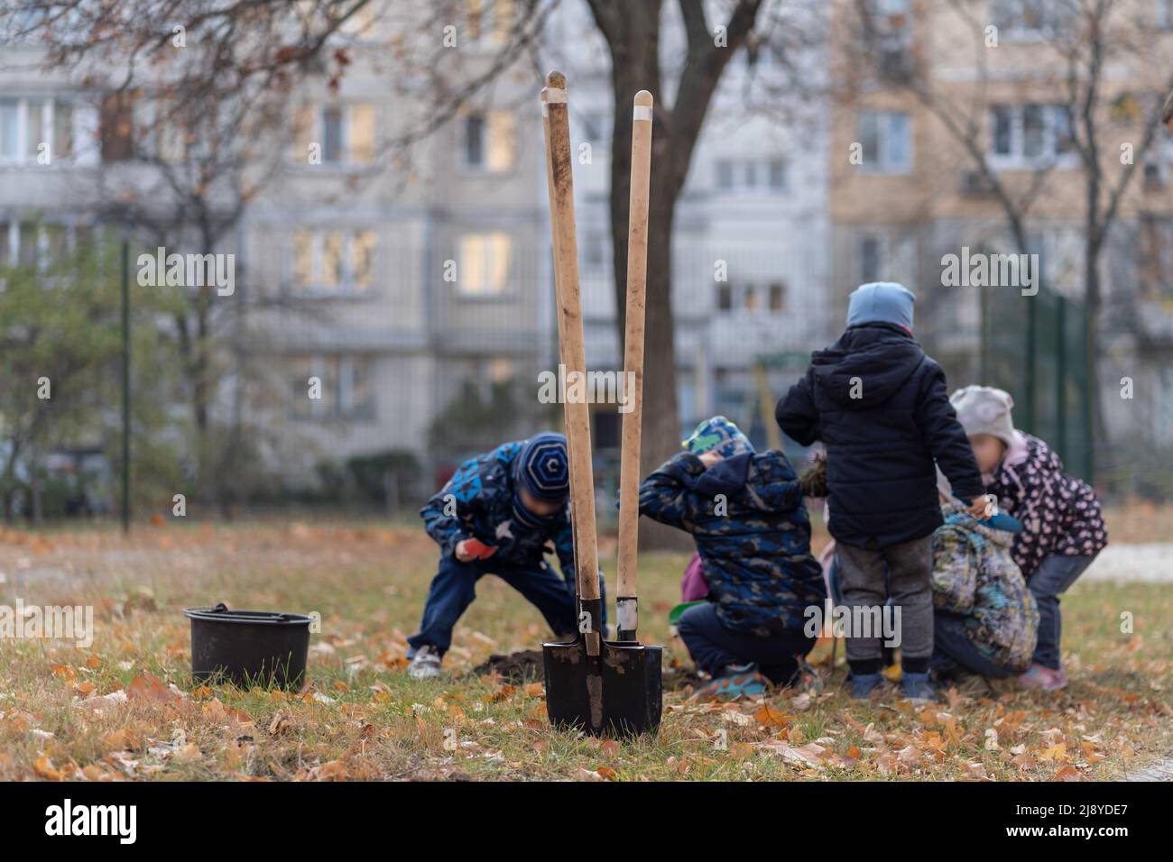 Aufforstung oder Kinder lernen oder helfen, Bäume im Freien zu Pflanzen Stockfoto