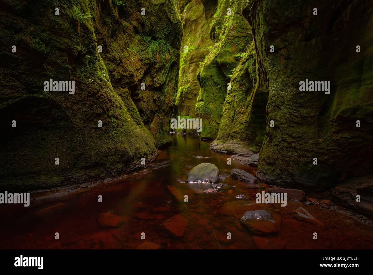 Finnich Glen, Heimat der Devil's Pulpit in Stirlingshire, Schottland Stockfoto