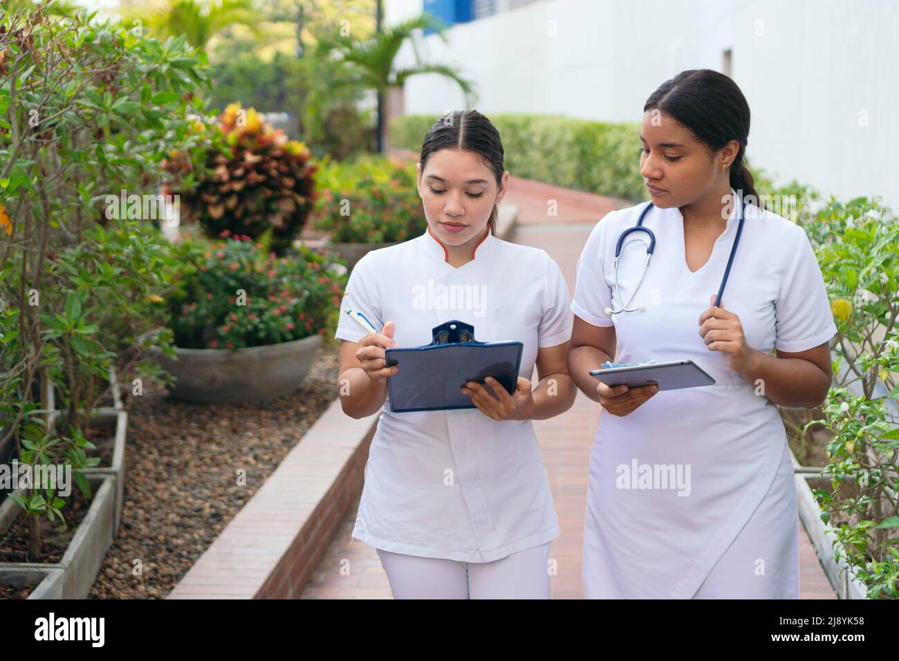 Zwei Krankenschwestern gehen umher und überprüfen die Patientendaten Stockfoto