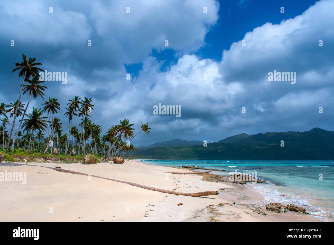 Palmen am Strand in Playa Bonita Strand auf der Halbinsel Samana in der Dominikanischen Republik in der Nähe der Stadt Las Terrenas. Resultados de Traducción STAR Bor Stockfoto