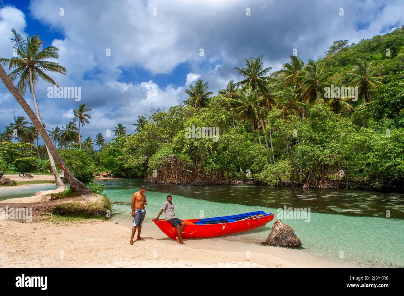 Bootsfahrt im Regenwald, Mangroven. Ökotourismus. Nationalpark Los Haitises, Sabana de La Mar, Dominikanische Republik. Los Haitises National Park ist ein Stockfoto