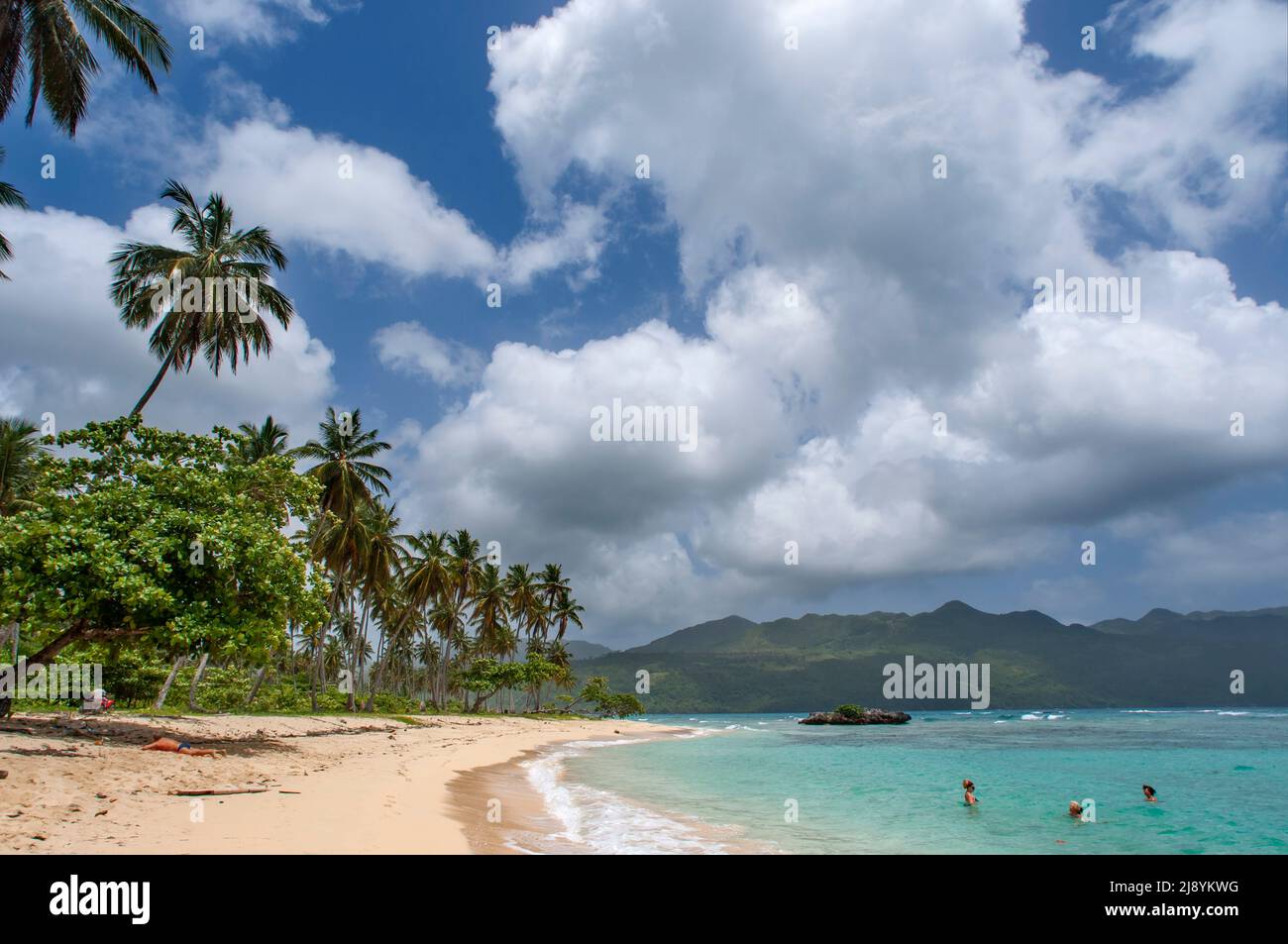 Palmen am Strand in Playa Bonita Strand auf der Halbinsel Samana in der Dominikanischen Republik in der Nähe der Stadt Las Terrenas. Resultados de Traducción STAR Bor Stockfoto