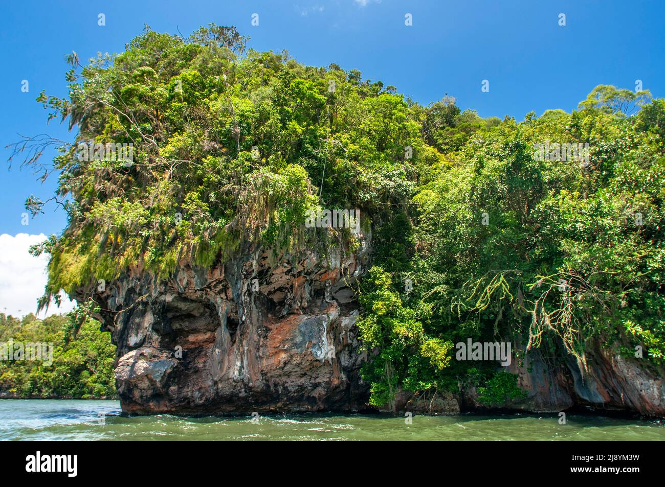 Regenwald, Mangroven. Ökotourismus. Nationalpark Los Haitises, Sabana de La Mar, Dominikanische Republik. Los Haitises National Park ist ein Nationalpark lo Stockfoto