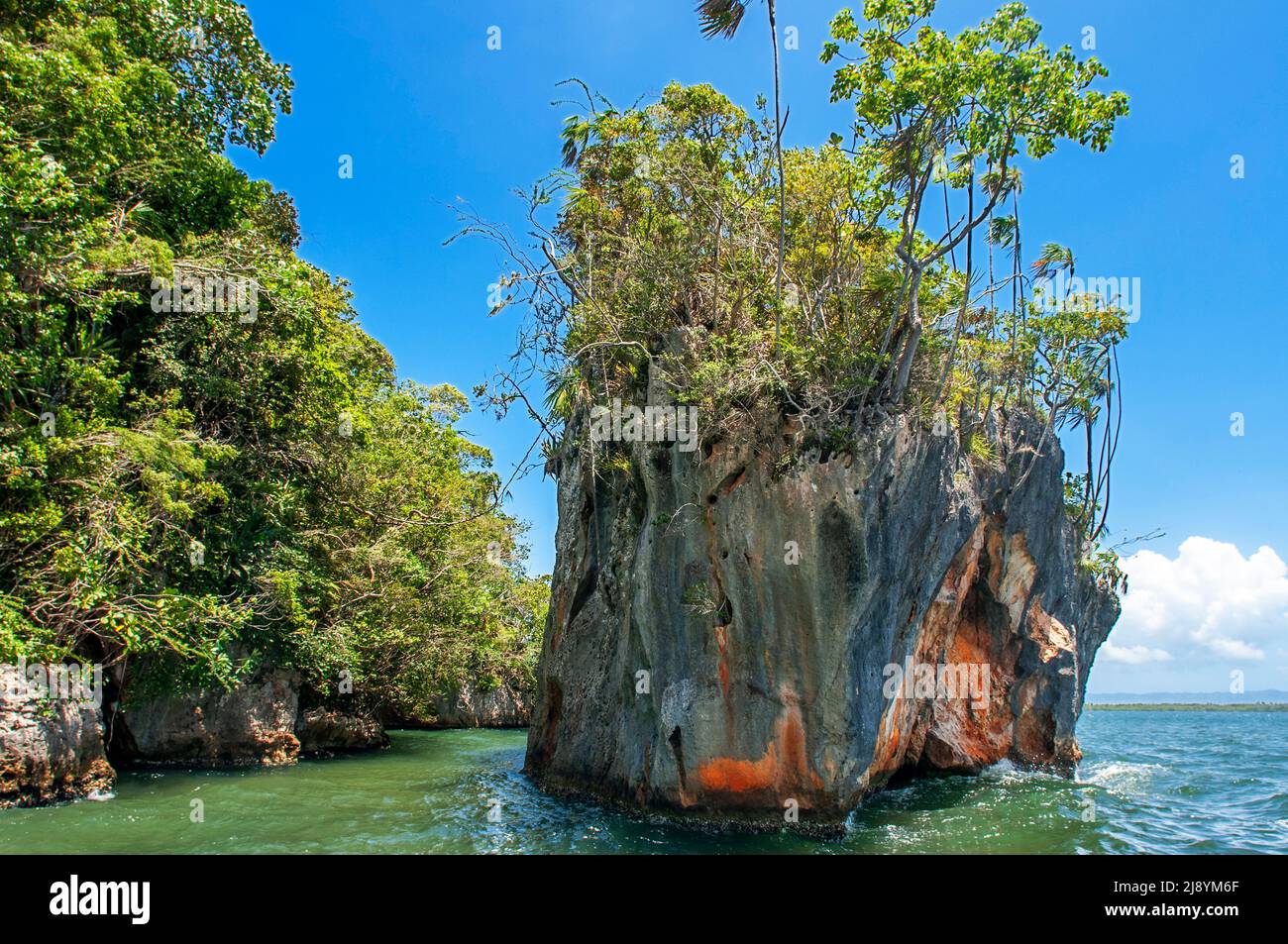 Regenwald, Mangroven. Ökotourismus. Nationalpark Los Haitises, Sabana de La Mar, Dominikanische Republik. Los Haitises National Park ist ein Nationalpark lo Stockfoto
