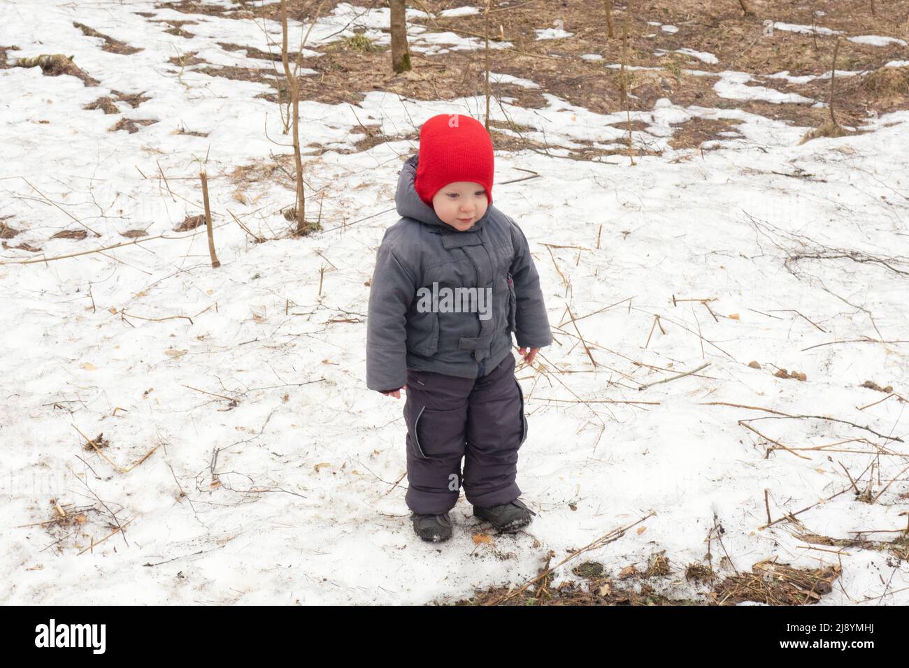 Kleines Kind in roter Mütze und grauer Kleidung, das im Frühlingswald aufsteht Stockfoto
