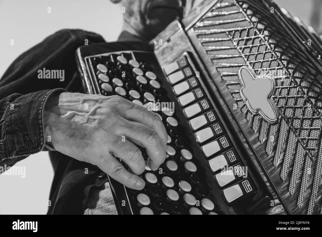 Monochromes Porträt eines senioten Mannes, Retro-Musiker, der die Ziehharmonika auf weißem Hintergrund spielt. Konzept von Kunst, Musik, Stil, ältere Generation Stockfoto