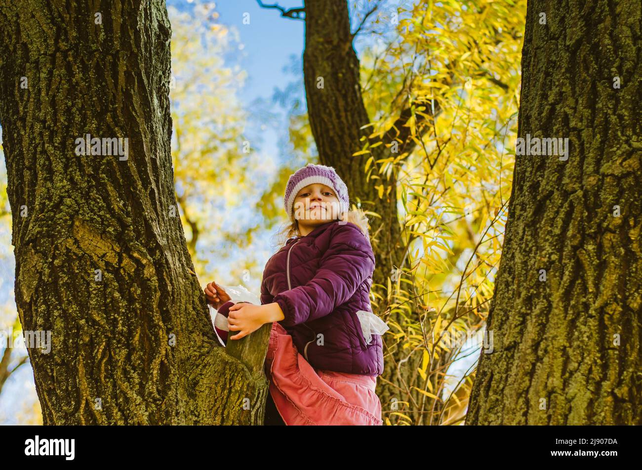 Kleines Kind im Baumstamm in herbstlicher Atmosphäre Stockfoto
