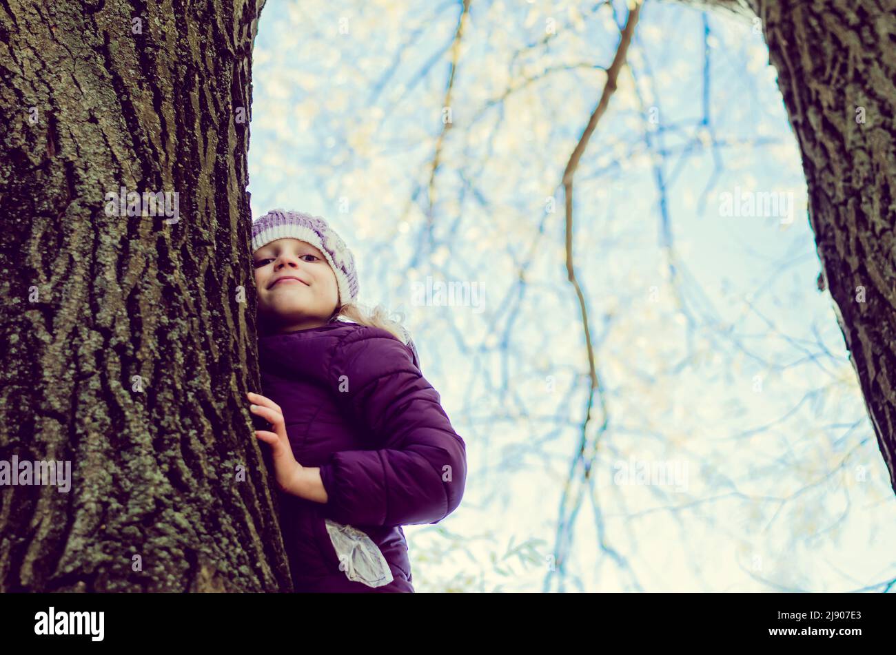 Kleines Kind versteckt sich im Baumstamm in herbstlicher Atmosphäre Stockfoto