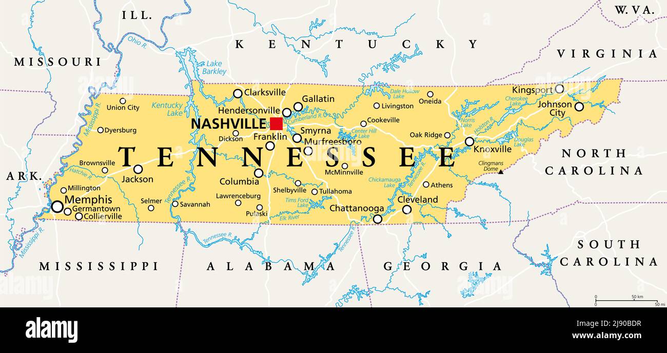 Tennessee, TN, politische Karte, mit Hauptstadt Nashville, größte Städte, Seen und Flüsse. Bundesstaat Tennessee. Binnenstaat im Südosten der USA. Stockfoto