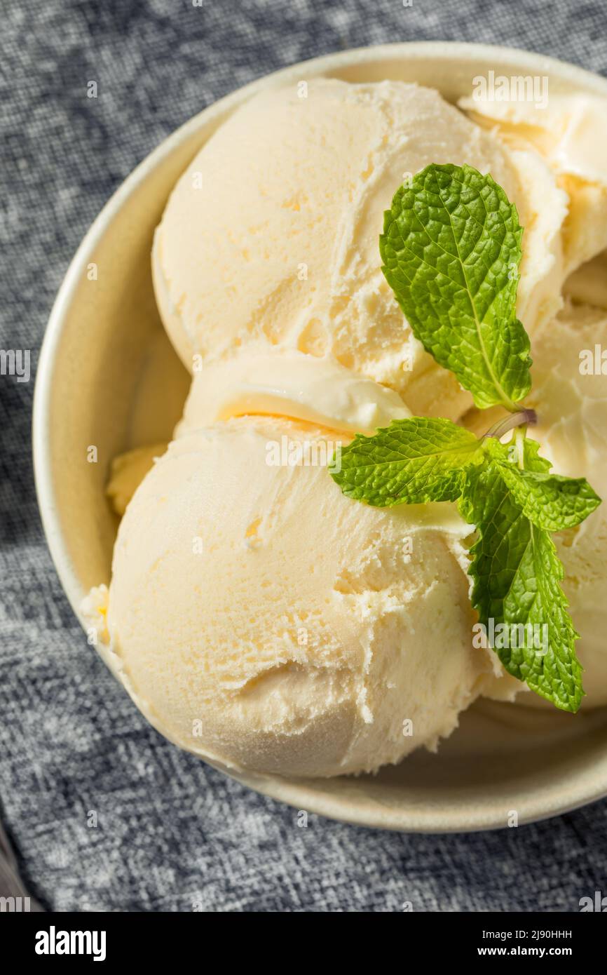 Hausgemachtes Eis aus gefrorener Vanille bereit zum Essen Stockfoto