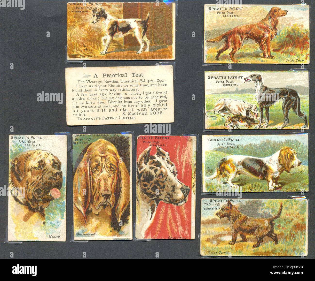 Karten aus Hundefutter-Anzeigen für Spratts Patent Hundefutter mit verschiedenen Hunderassen 1890 Stockfoto