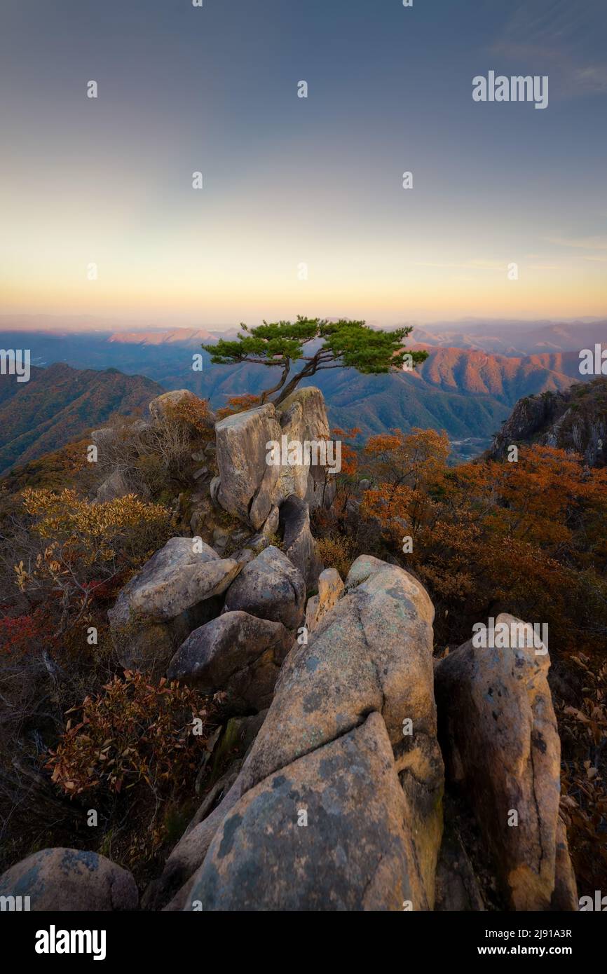 Blick vom Daedunsan Berg mit Kiefernbaum, Südkorea, aufgenommen im November 2021, nachbearbeitet mit Expositionsklammer Stockfoto