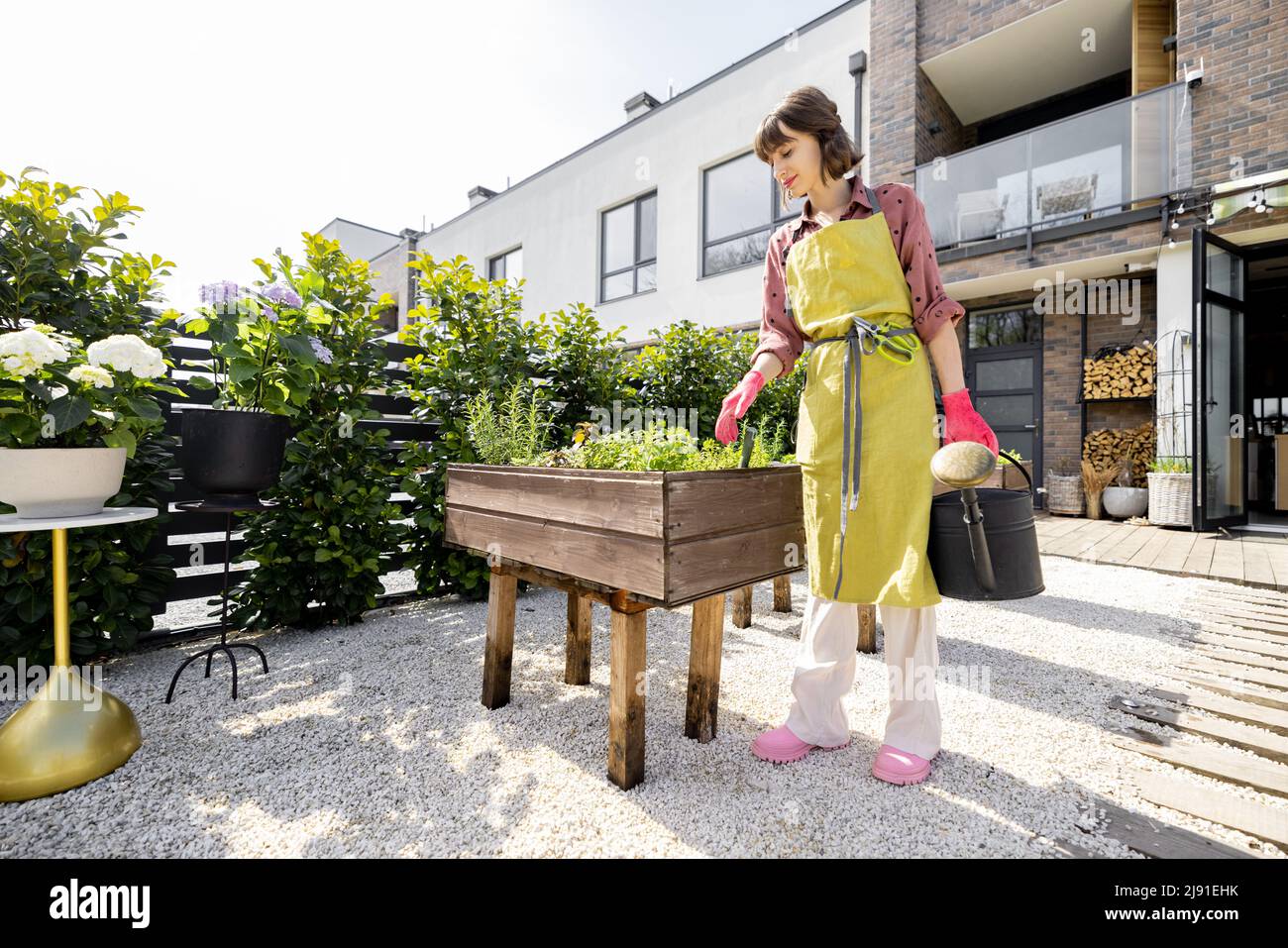 Frau zu Hause Gemüsegarten im Hinterhof ihres Hauses Stockfoto