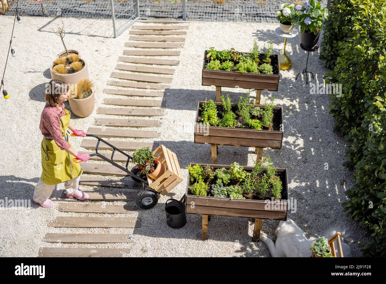 Blick von oben auf den Gemüsegarten und die Frau, die arbeitet Stockfoto