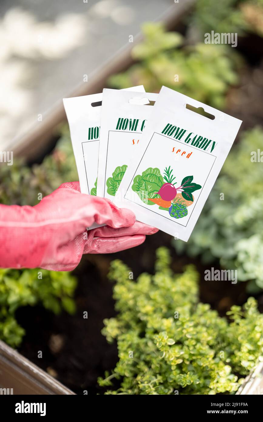 Gemüsesamen in Papierpackung Stockfoto
