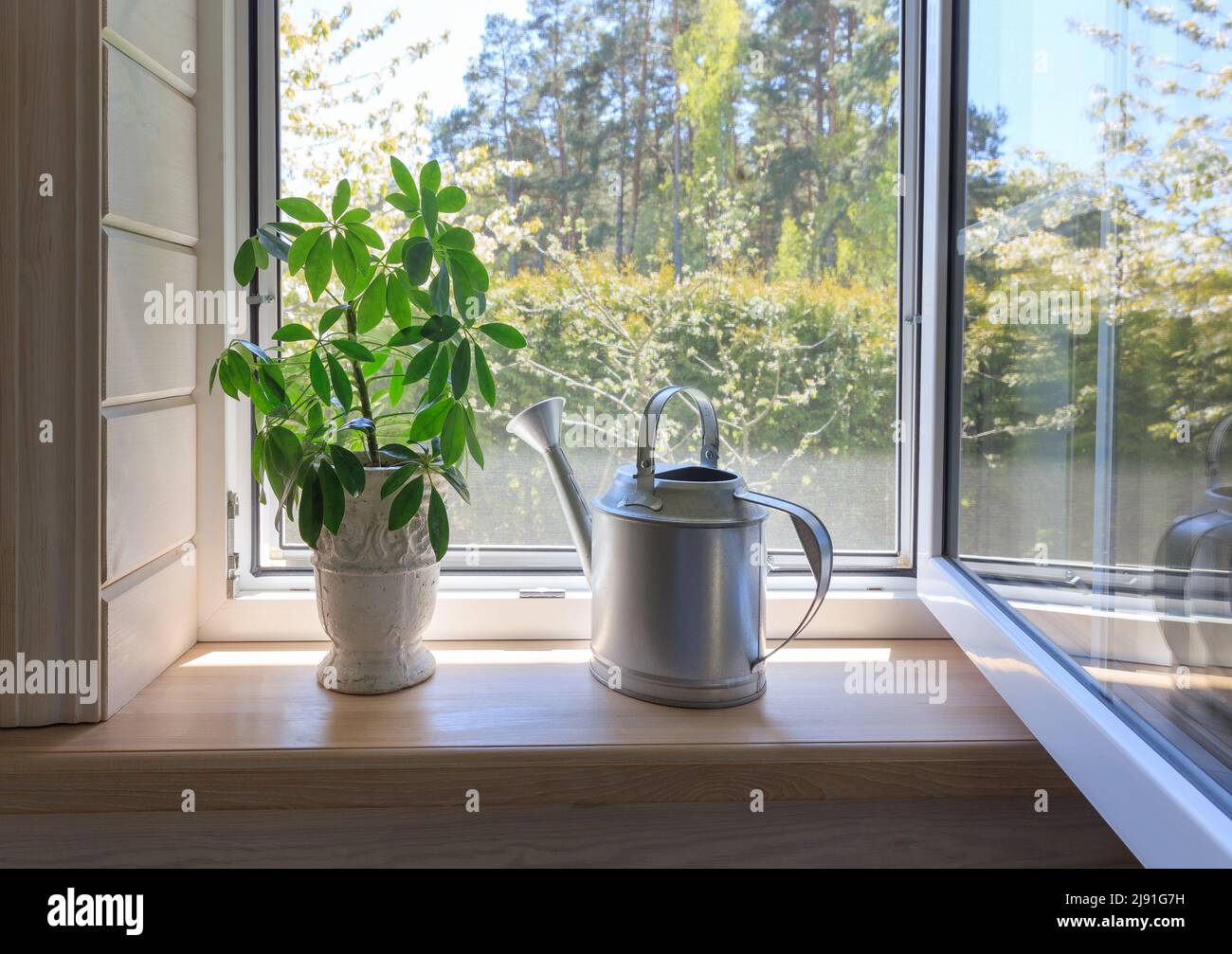 Weißes Fenster mit Mosuito-Netz in einem rustikalen Holzhaus Stockfoto