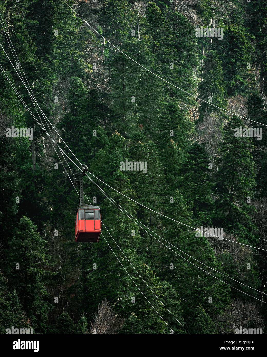 Seilbahn-Hütte in Bergen mit Wald Stockfoto