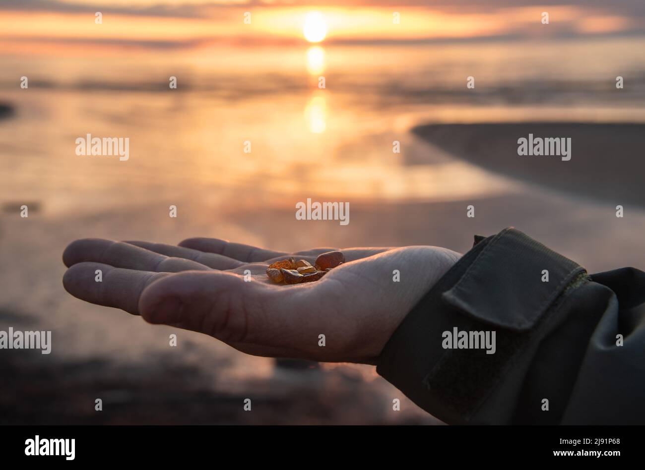 Die Hand des Mannes hält während des Sonnenuntergangs kleine Bernsteinstücke am Ostseestrand Stockfoto