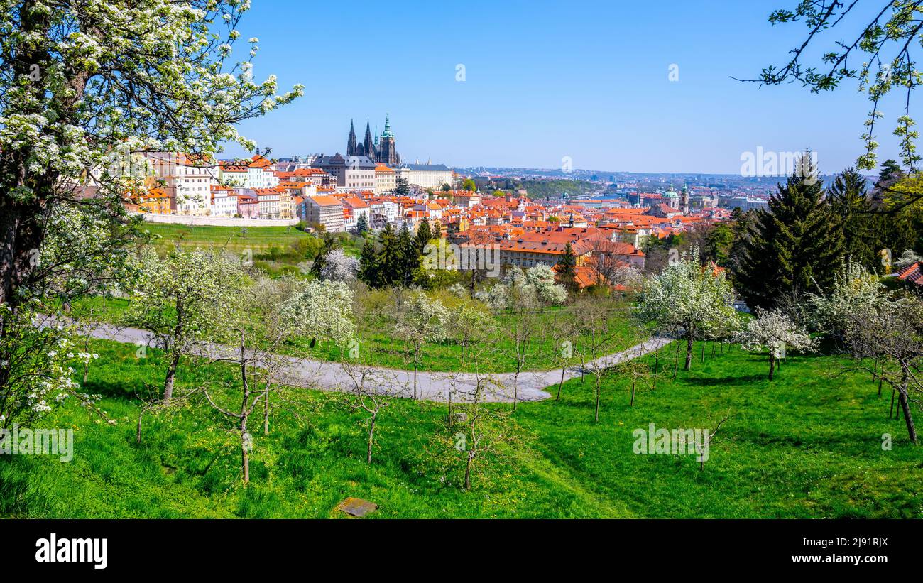 Prager Burg am sonnigen Frühlingstag Stockfoto