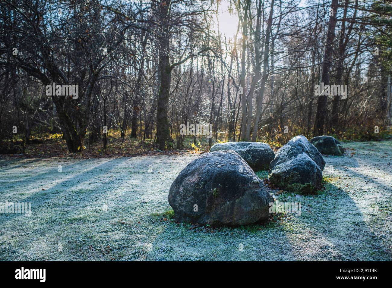 Frostiger Morgen auf der Insel Saaremaa, Estland Stockfoto