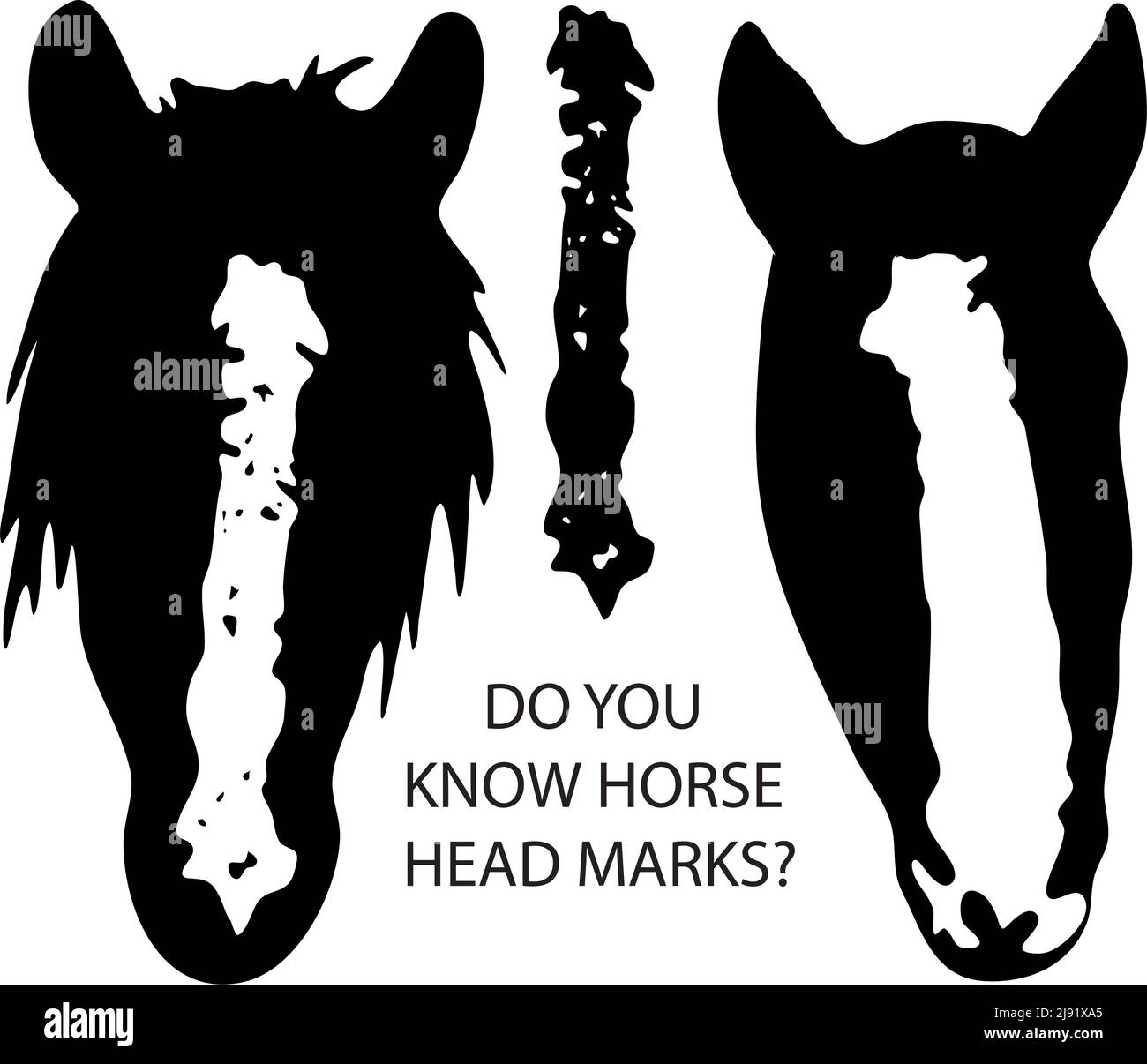 Druckfertiges Vektor-Zeichenset: Pferdegesichtsmarkierungen, schwarz-weiße Kopfflecken, Sterne, Nippel, Streifen, glatzköpfige Gesichts-Markierungskollektion Stock Vektor