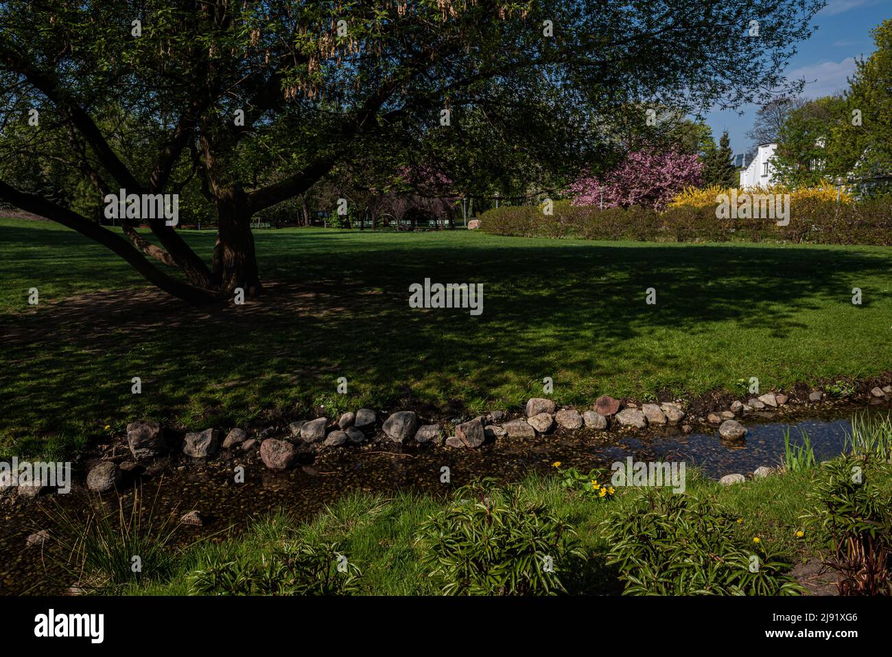 Parklandschaft. Bach mit steinernen Küsten. Baum auf dem Rasen. Stockfoto