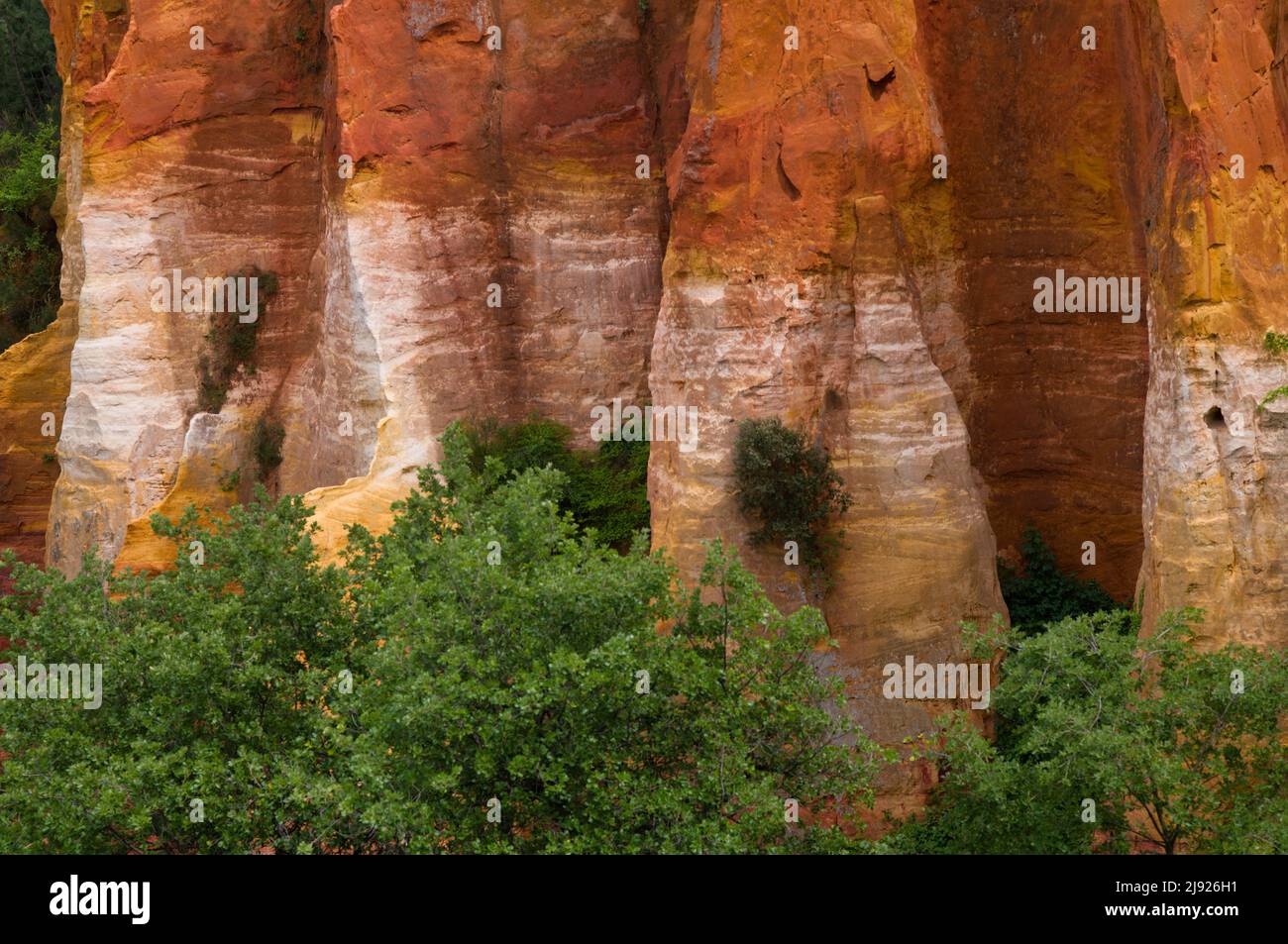 Felswand, ockerfarbener Lehrpfad, Le Sentier des Ocres, ehemaliges Ockerbergbaugebiet, ockerfarbene Felsen, Roussillon, Luberon, Vaucluse Stockfoto