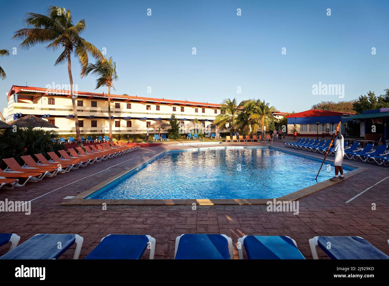 Mann reinigt Swimmingpool, Sonnenliege, hinter dem Hotelgebäude, Sonnenschirm, Kokospalme (Cocos nucifera), Hotel Club Amigo Costasur, Trinidad, Trinidad Stockfoto