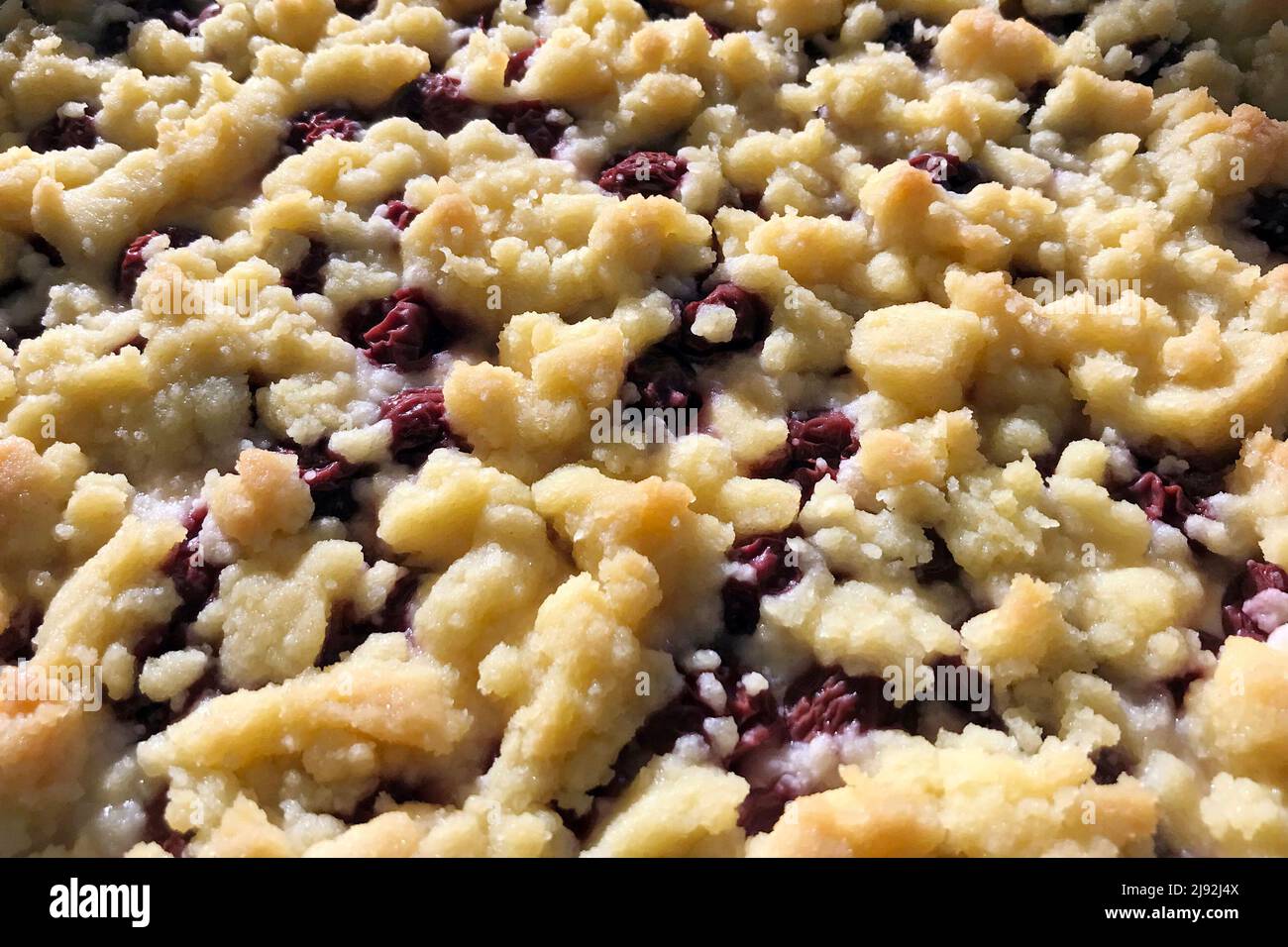 07.10.2021, Berlin, , Deutschland - Knabberkuchen mit Kirschen. 00S211007D605CAROEX.JPG [MODEL RELEASE: NO, PROPERTY RELEASE: NO (c) caro images / Sorge, Stockfoto