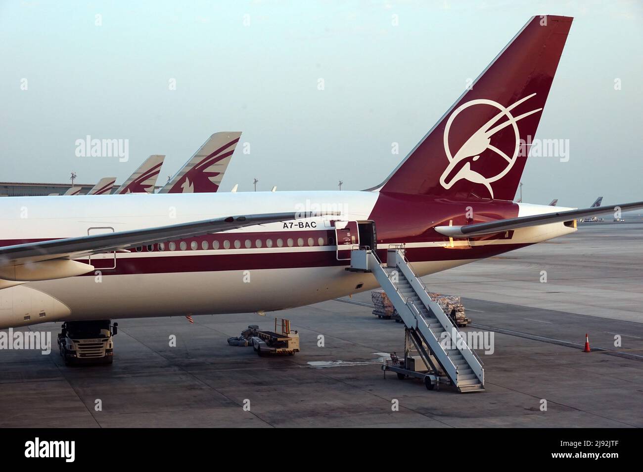 27.02.2022, Doha, , Katar - Qatar Airways Flugzeuge auf dem Vorfeld des Flughafens. 00S220227D393CAROEX.JPG [MODEL RELEASE: NO, PROPERTY RELEASE: NO (C) CAR Stockfoto