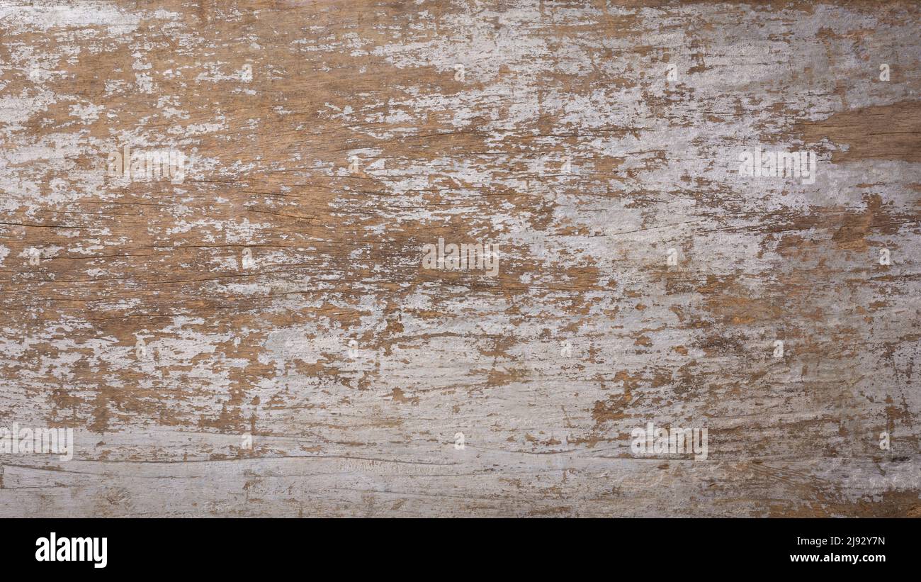 Verzweifelt zerkratzte alte Holzstruktur, Fotografie Hintergrund, leeren Vollformat Grunge Hintergrund, hölzerne Wandbretter oder Wand Stockfoto