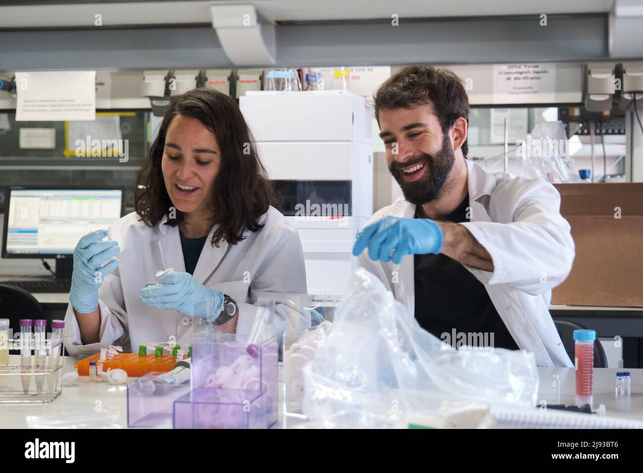 Zwei junge Doktoranden arbeiten in einem echten Labor. Stockfoto