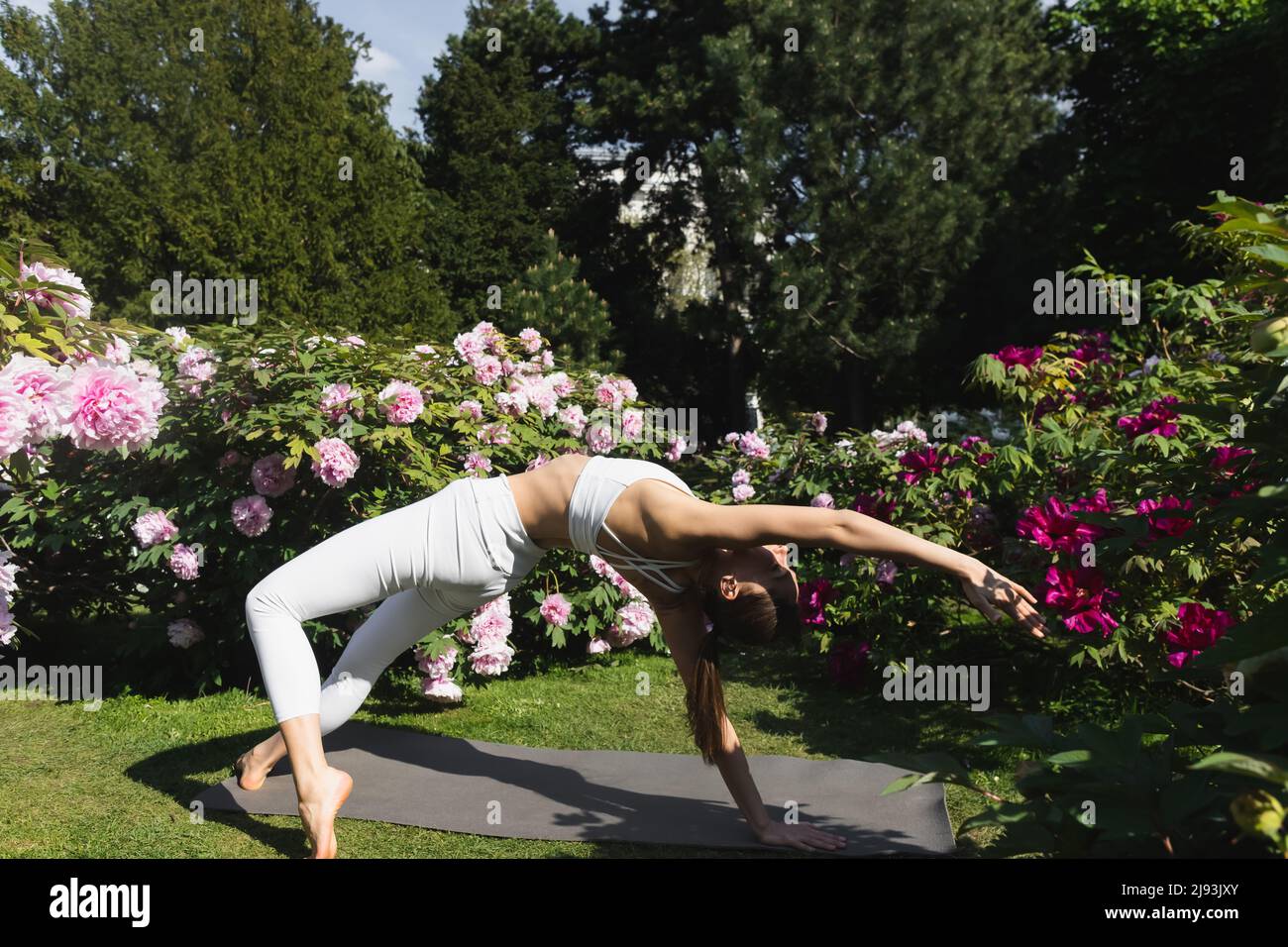 Schlanke Frau in weißer Sportkleidung, die in der Nähe blühender Pflanzen im Park Yoga-Pose praktiziert Stockfoto