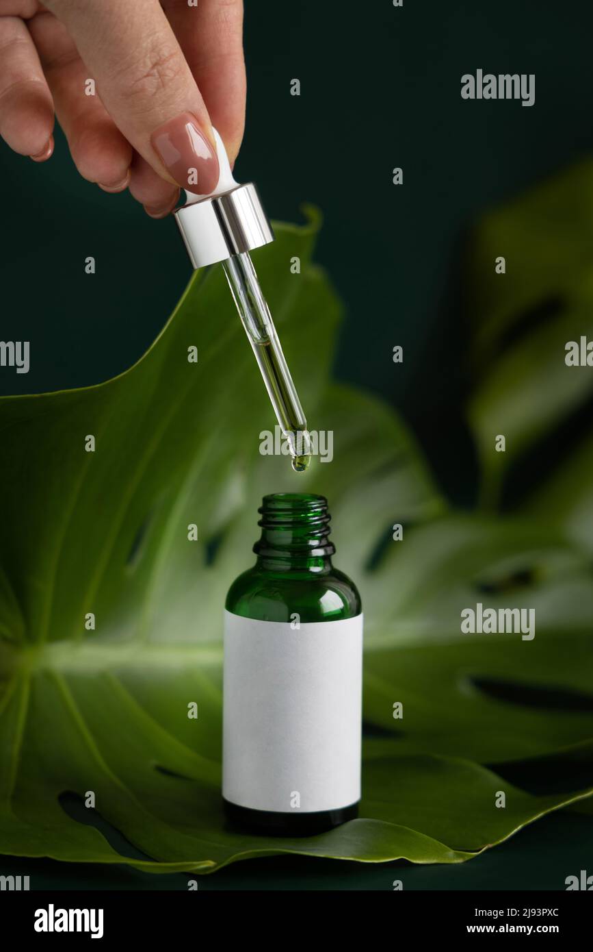 Weibliche Hand hält Glastropfer über einer Flasche natürlichen ätherischen Öls auf tropischem Monstera-Blatt auf grünem Tisch aus nächster Nähe. Modell der Markenverpackung. Tr Stockfoto