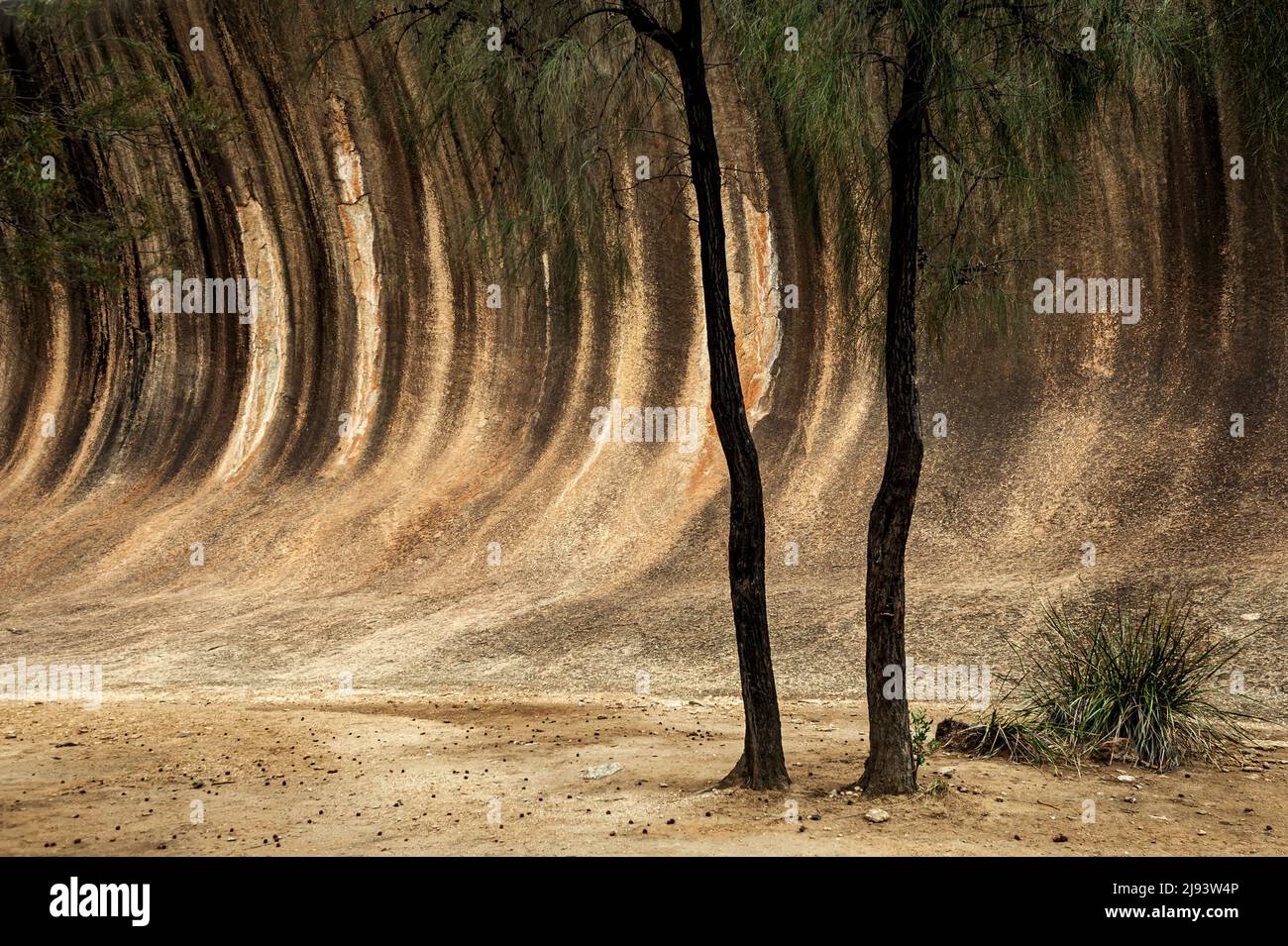 Herausragender Wave Rock im Outback von Western Australia. Stockfoto