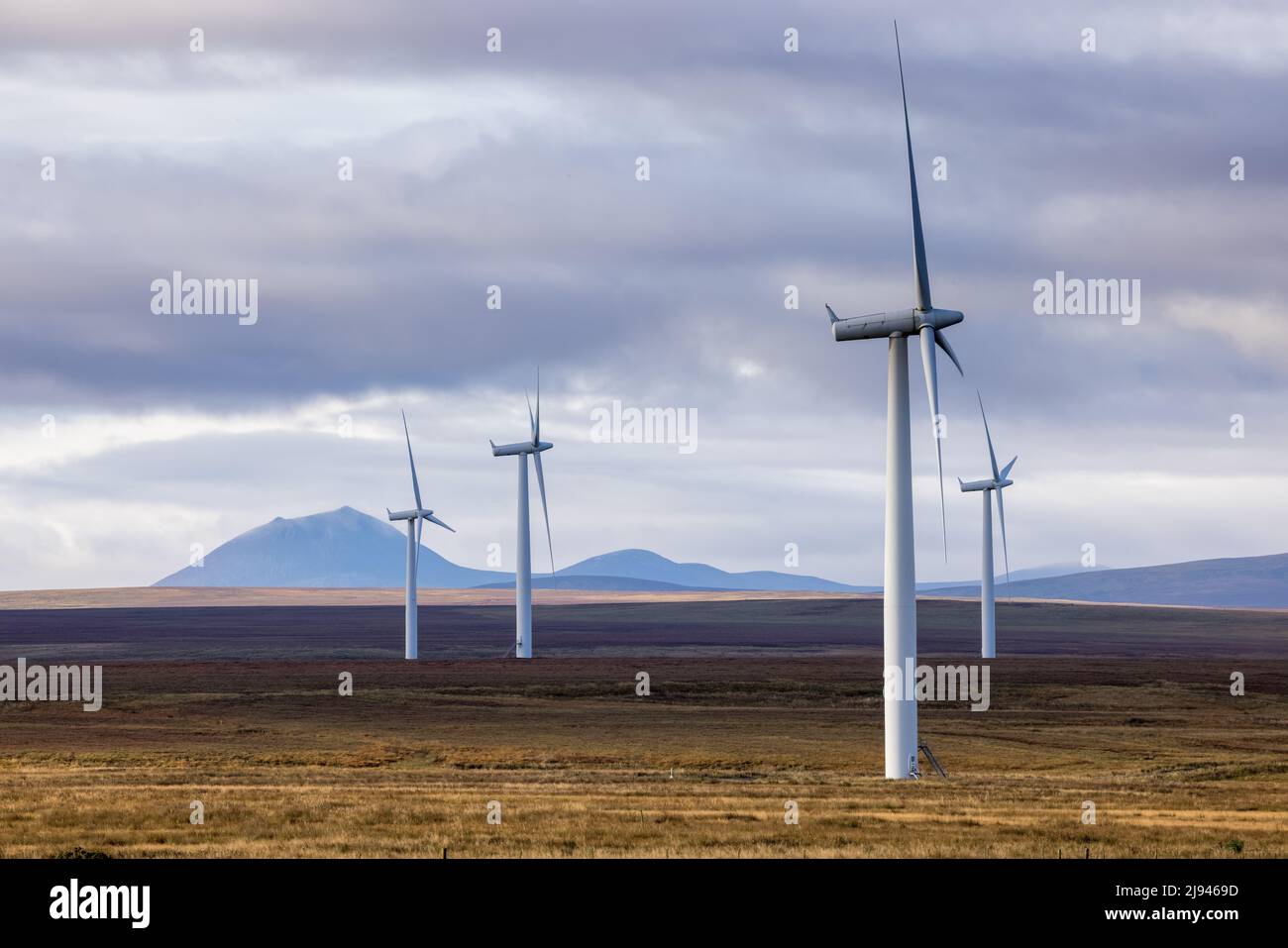 Ein Windpark in Sibster Burn, Halkirk, Caithness, Schottland, Großbritannien Stockfoto