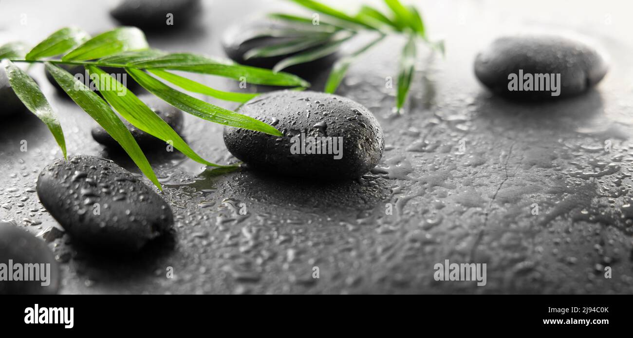 Spa-Behandlung - Massage Steine und grüne Blätter auf schwarzem nassen Hintergrund. Banner Stockfoto