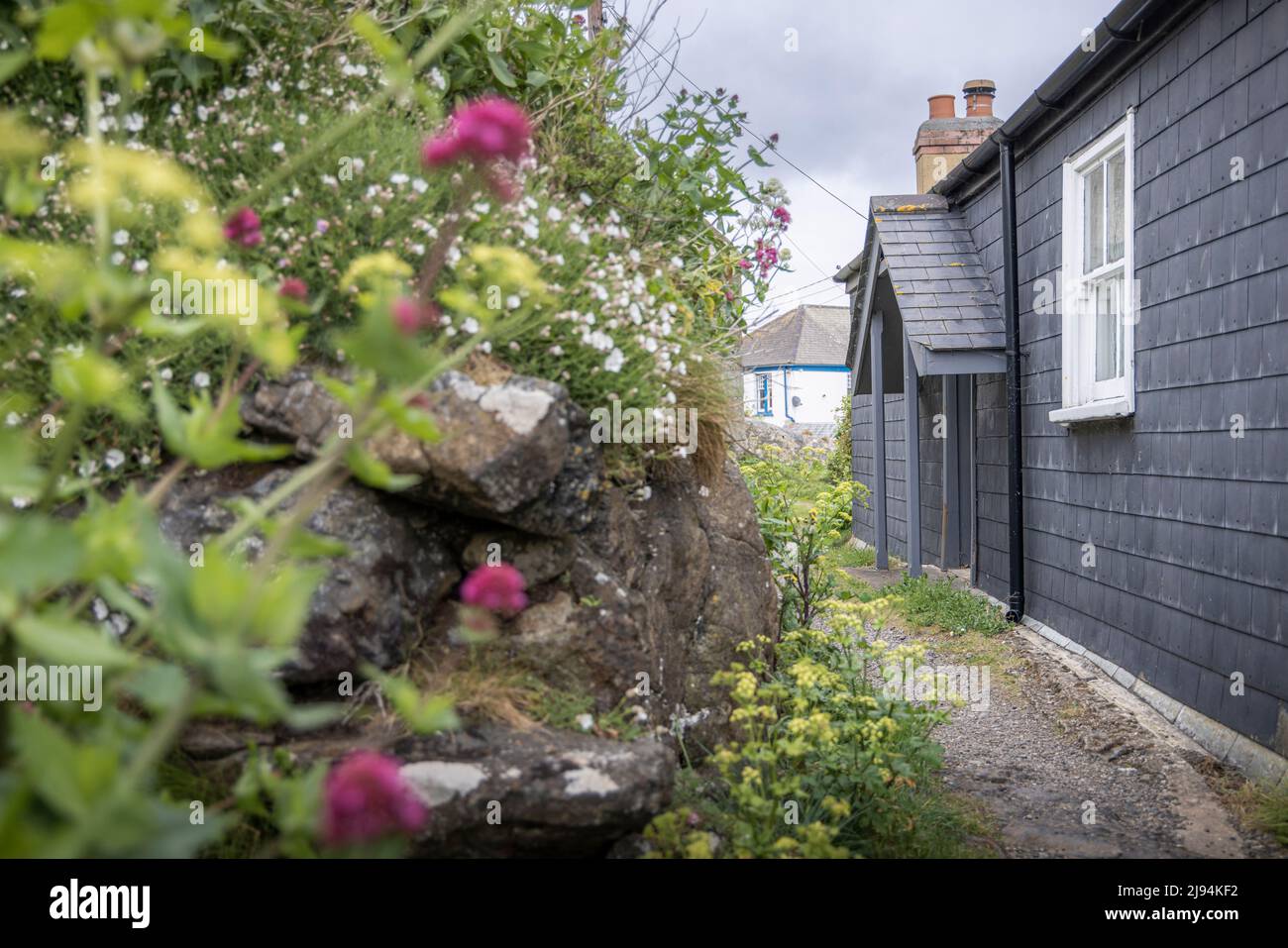 Coverack auf der Halbinsel Lizard in Cornwall. Bilddatum: Freitag, 6. Mai 2022. Foto von Christopher Ison © Stockfoto